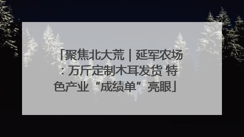聚焦北大荒｜延军农场：万斤定制木耳发货 特色产业“成绩单”亮眼