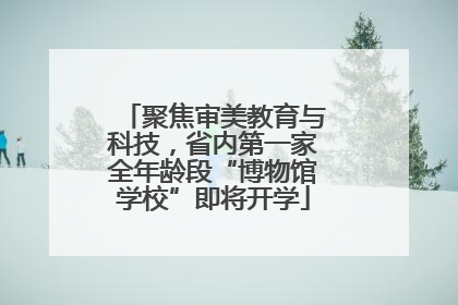 聚焦审美教育与科技，省内第一家全年龄段“博物馆学校”即将开学