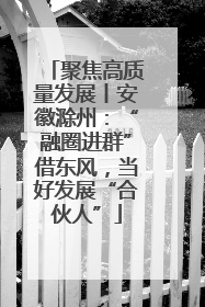 聚焦高质量发展丨安徽滁州：“融圈进群”借东风，当好发展“合伙人”