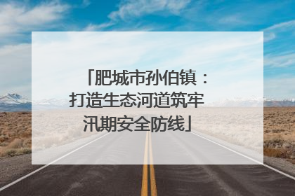 肥城市孙伯镇：打造生态河道筑牢汛期安全防线
