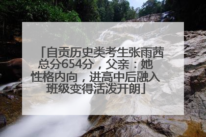 自贡历史类考生张雨茜总分654分，父亲：她性格内向，进高中后融入班级变得活泼开朗