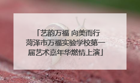 艺韵万福 向美而行 菏泽市万福实验学校第一届艺术嘉年华燃情上演