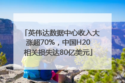 英伟达数据中心收入大涨超70%，中国H20相关损失达80亿美元