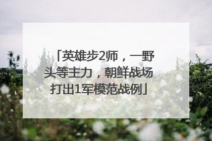 英雄步2师，一野头等主力，朝鲜战场打出1军模范战例