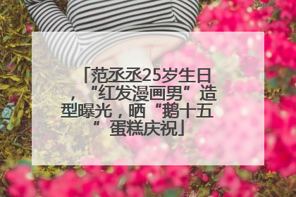 范丞丞25岁生日，“红发漫画男”造型曝光，晒“鹅十五”蛋糕庆祝