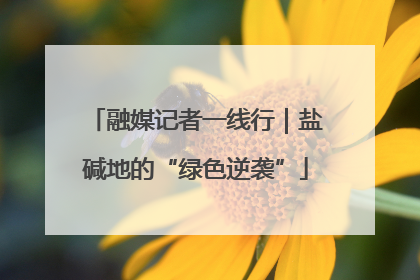 融媒记者一线行｜盐碱地的“绿色逆袭”