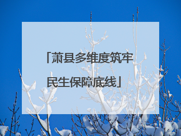 萧县多维度筑牢民生保障底线