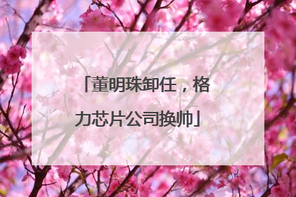 董明珠卸任，格力芯片公司换帅