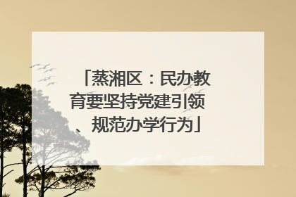 蒸湘区：民办教育要坚持党建引领、规范办学行为