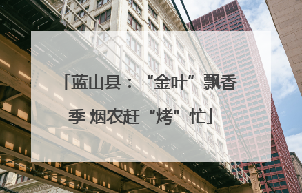 蓝山县：“金叶”飘香季 烟农赶“烤”忙