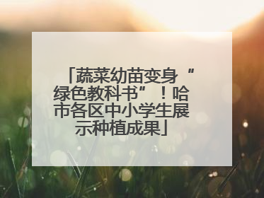 蔬菜幼苗变身“绿色教科书”！哈市各区中小学生展示种植成果