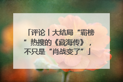 评论丨大结局“霸榜”热搜的《藏海传》，不只是“肖战变了”