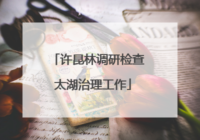 许昆林调研检查太湖治理工作