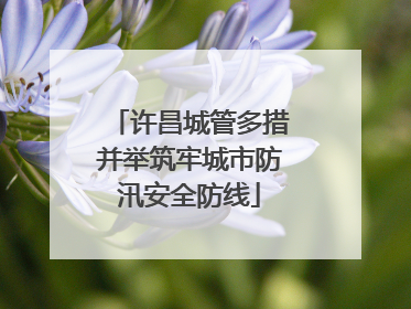 许昌城管多措并举筑牢城市防汛安全防线