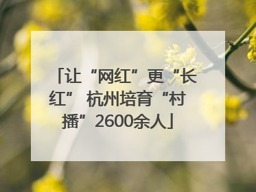 让“网红”更“长红” 杭州培育“村播”2600余人
