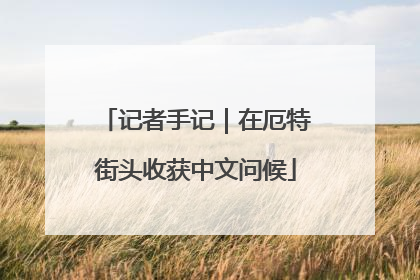 记者手记｜在厄特街头收获中文问候