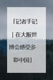 记者手记｜在大阪世博会感受多彩中国