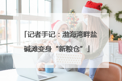 记者手记：渤海湾畔盐碱滩变身“新粮仓”