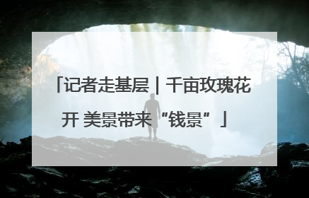 记者走基层｜千亩玫瑰花开 美景带来“钱景”