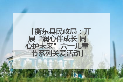 衡东县民政局：开展“润心伴成长 同心护未来”六一儿童节系列关爱活动