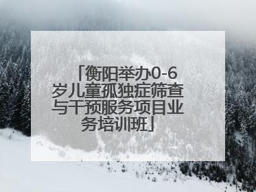 衡阳举办0-6岁儿童孤独症筛查与干预服务项目业务培训班