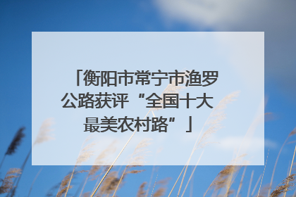 衡阳市常宁市渔罗公路获评“全国十大最美农村路”