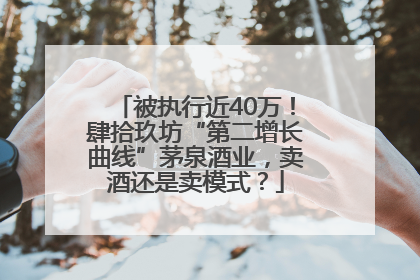被执行近40万！肆拾玖坊“第二增长曲线”茅泉酒业，卖酒还是卖模式？