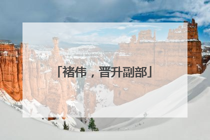 褚伟，晋升副部