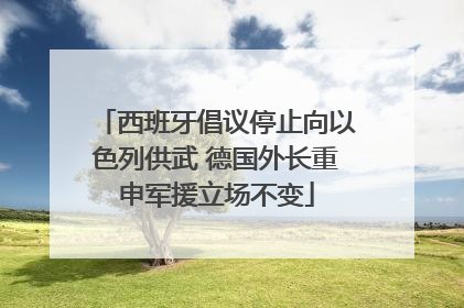西班牙倡议停止向以色列供武 德国外长重申军援立场不变