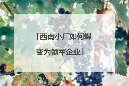 西南小厂如何蝶变为领军企业