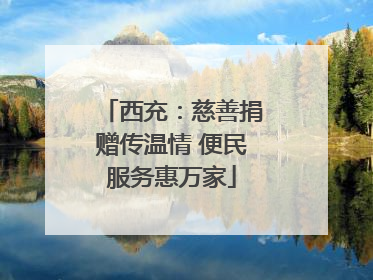 西充：慈善捐赠传温情 便民服务惠万家