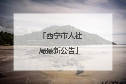 西宁市人社局最新公告