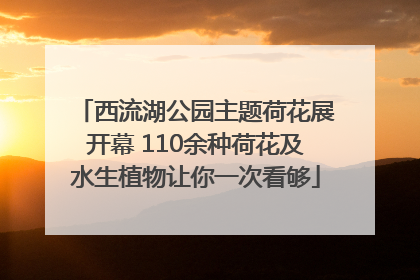 西流湖公园主题荷花展开幕 110余种荷花及水生植物让你一次看够