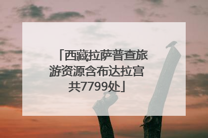 西藏拉萨普查旅游资源含布达拉宫共7799处