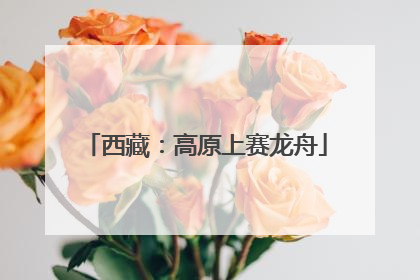 西藏：高原上赛龙舟