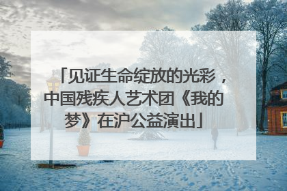 见证生命绽放的光彩，中国残疾人艺术团《我的梦》在沪公益演出