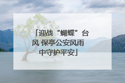 迎战“蝴蝶”台风 保亭公安风雨中守护平安