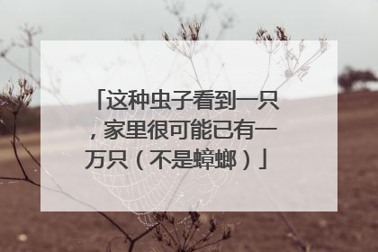 这种虫子看到一只，家里很可能已有一万只（不是蟑螂）