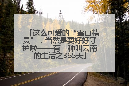 这么可爱的“雪山精灵”，当然是要好好守护啦——有一种叫云南的生活之365天