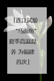 连江试验“马面鱼”夏季高温混养 为福建首次