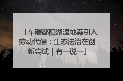 车碾鄱阳湖湿地案引入劳动代偿：生态法治在创新尝试｜有一说一
