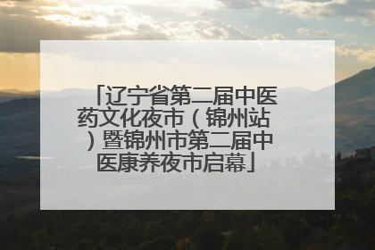 辽宁省第二届中医药文化夜市（锦州站）暨锦州市第二届中医康养夜市启幕