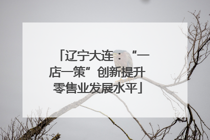 辽宁大连：“一店一策”创新提升零售业发展水平