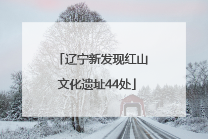 辽宁新发现红山文化遗址44处