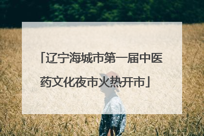 辽宁海城市第一届中医药文化夜市火热开市