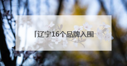 辽宁16个品牌入围2025中国品牌价值评价信息发布榜单