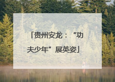 贵州安龙：“功夫少年”展英姿