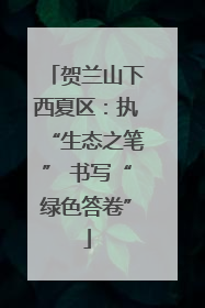 贺兰山下西夏区：执“生态之笔” 书写“绿色答卷”