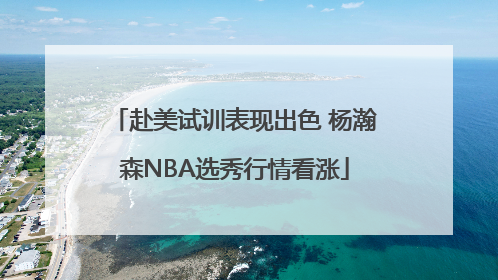 赴美试训表现出色 杨瀚森NBA选秀行情看涨