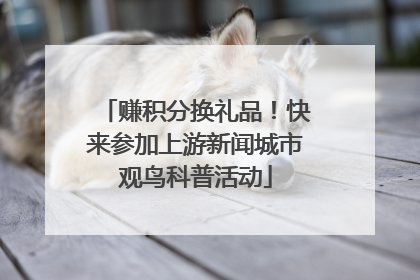 赚积分换礼品!快来参加上游新闻城市观鸟科普活动